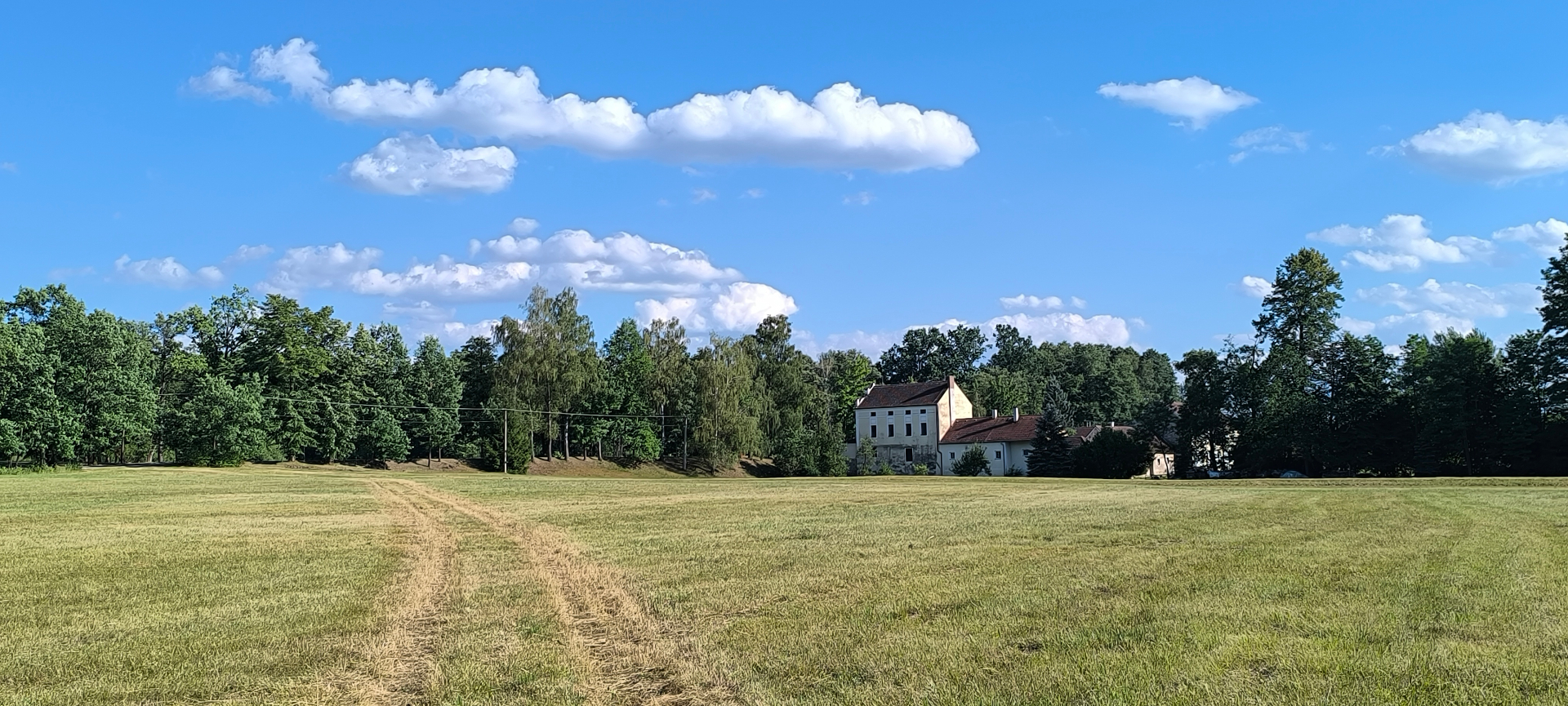 Mokrá luka u Třeboně, v pozadí Obecní mlýn