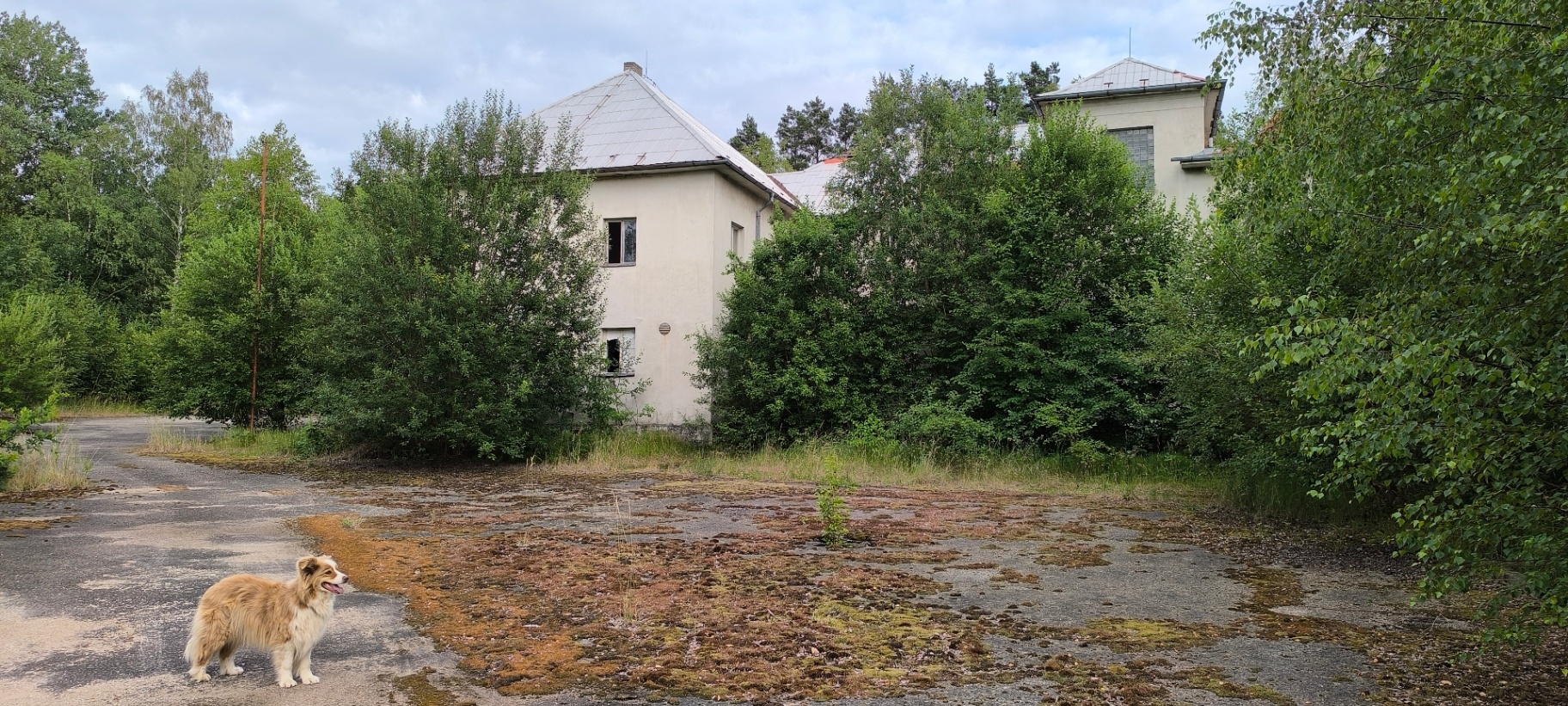 Bývalá kasárna pohraniční stráže mezi náletovými stromy