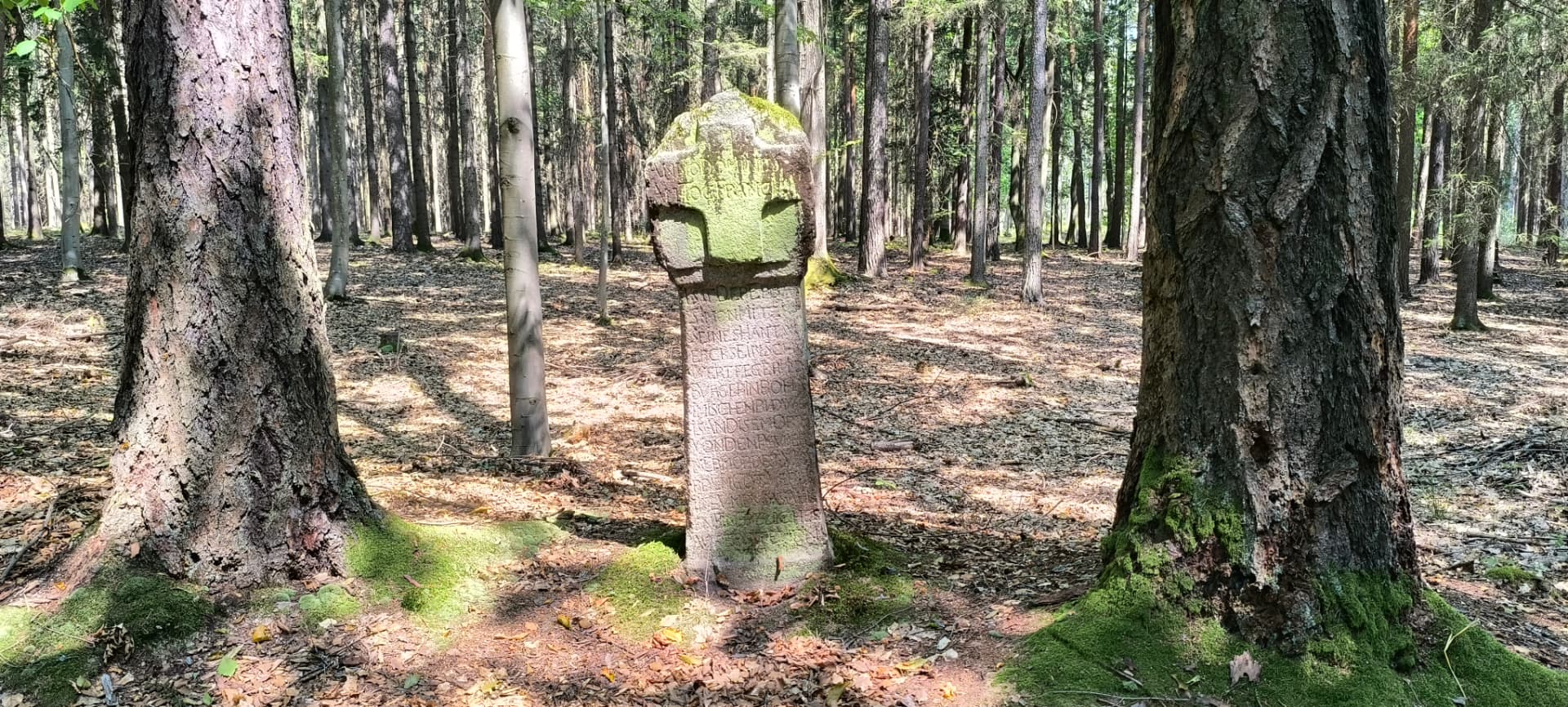 Křížový kámen u Strážkovic v lese mezi dvěma mohutnými stromy