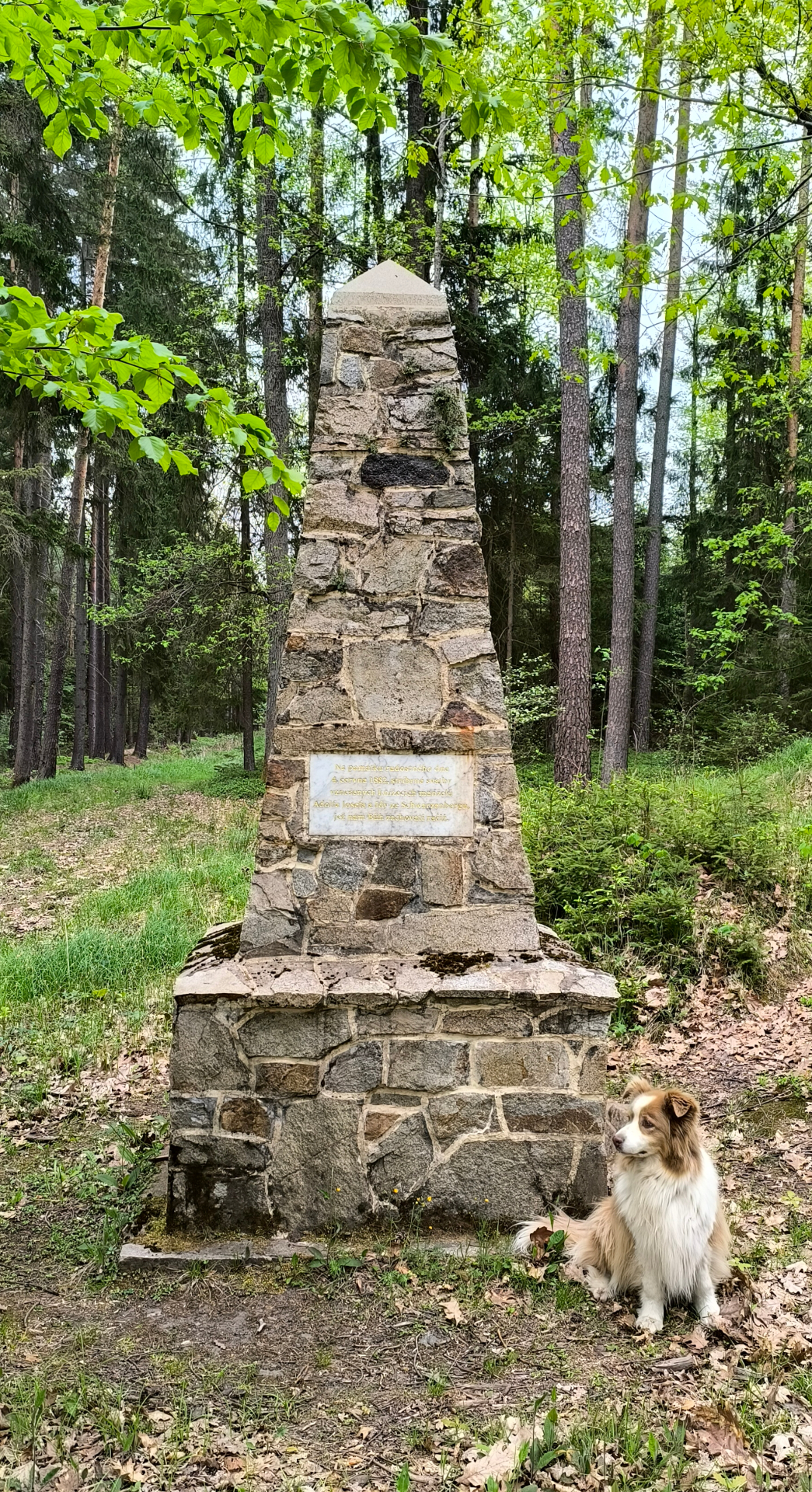 Kamenný obelisk – památník stříbrné svatby Schwarzenbergů