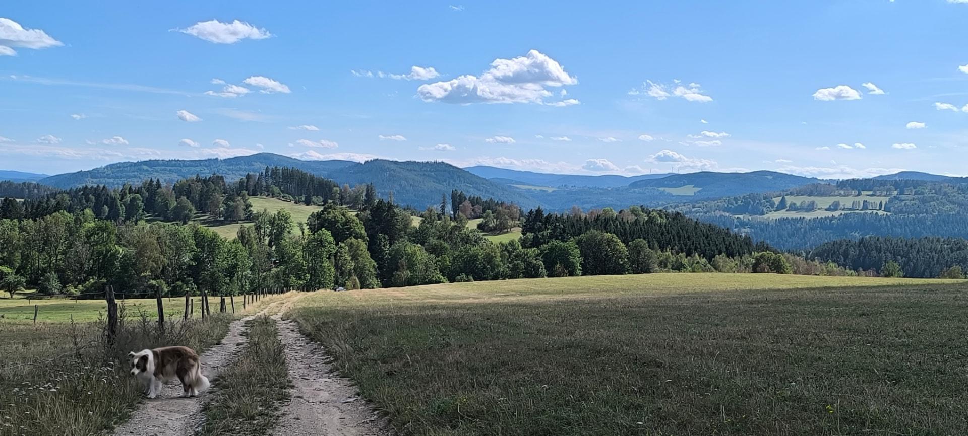 Výhled do krajiny nad zaniklou obcí Lověšice s kopcovitou krajinou a lesem