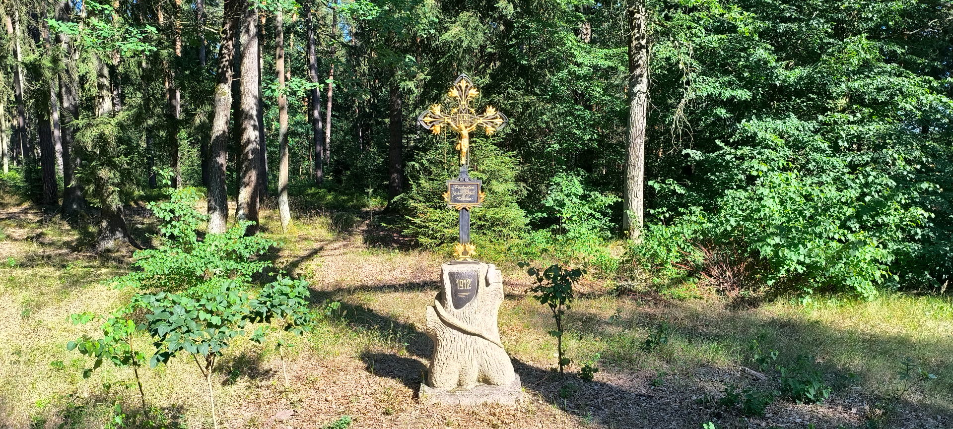 Hadí křížek u Třeboně na kraji lesa