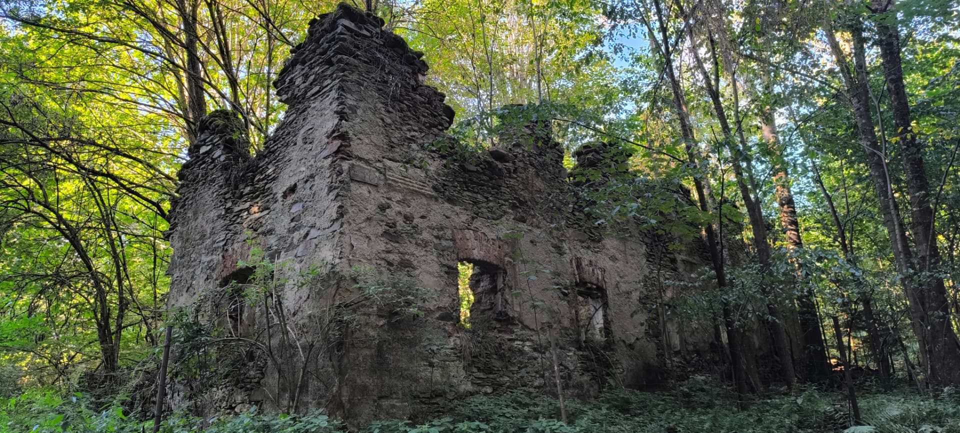 Ruina posledního domu v Lověšickém Rovném zarostlá stromy a křovím