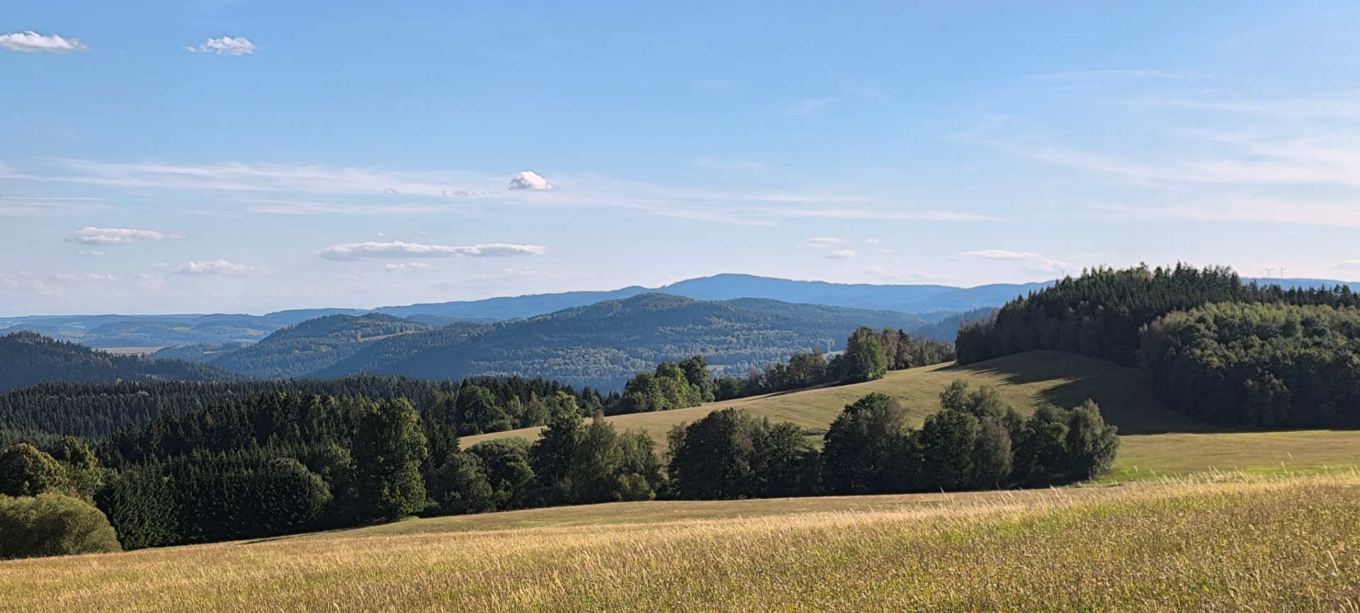 Výhled do krajiny nad obcí Lověšické Rovné s kopcovitou krajinou a lesem